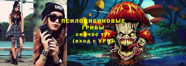 спиды Гатчина